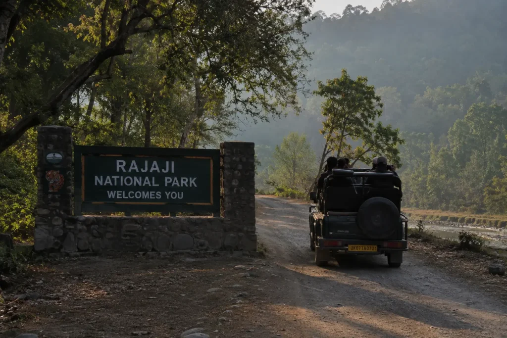 Rajaji National Park Reopens November 15: A Dehradun Local’s Season Guide
